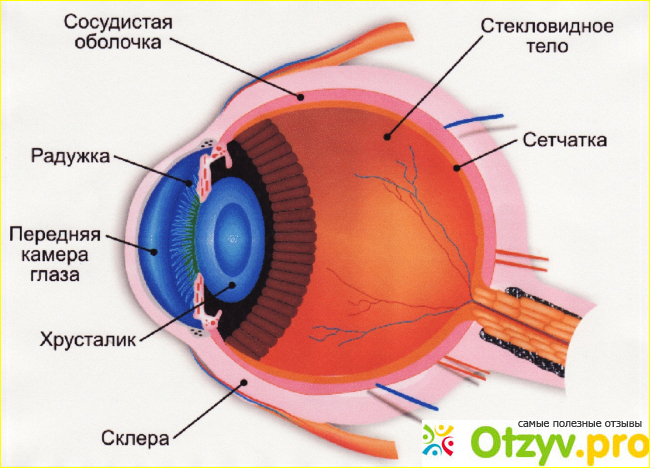 Отзывы о хрусталиках глаза фото1