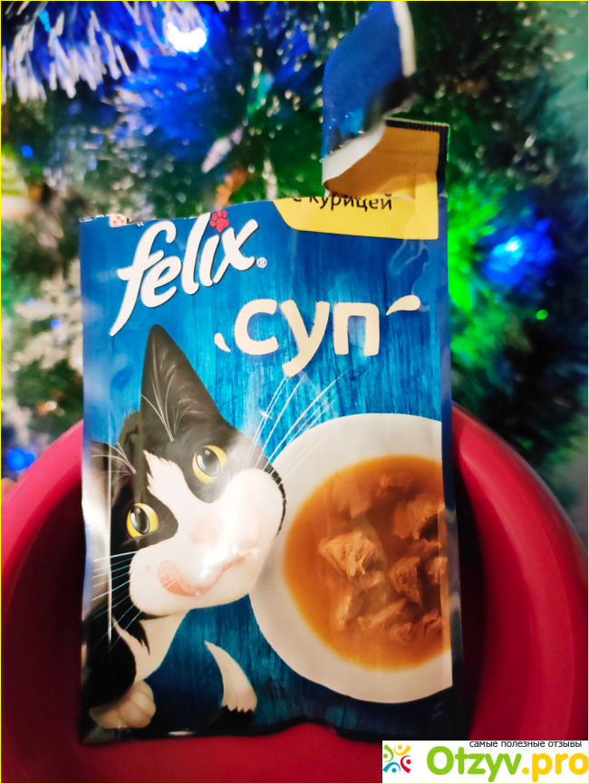 Отзыв о Влажный корм для кошек Felix Суп с курицей в соусе