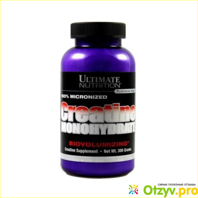 Creatine Monohydrate (QNT)