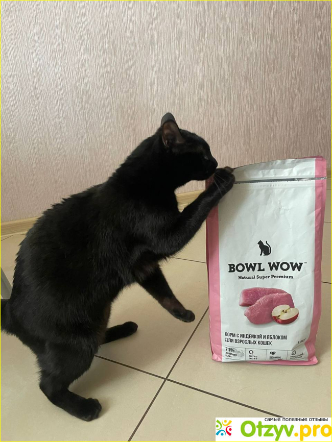 Отзыв о Корм для кошек Bowl Wow с индейкой и яблоком