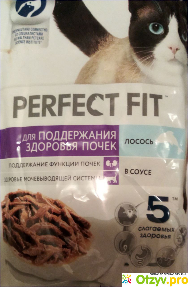 Отзыв о Корм Perfect Fit влажный для взрослых кошек для здоровых почек лосось