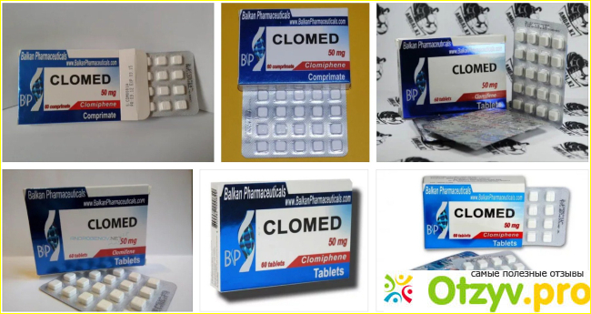 Clomed фото2