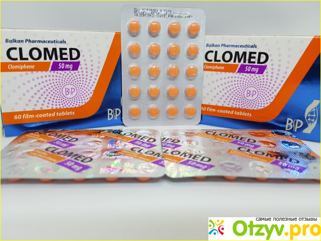 Clomed фото3