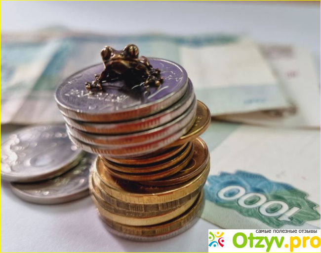 Информация об авторе