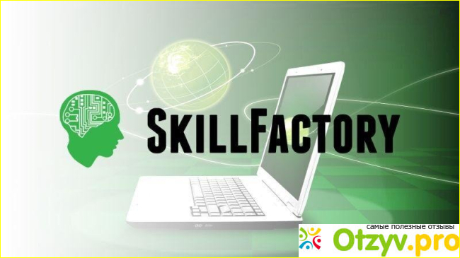 SkillFactory фото1