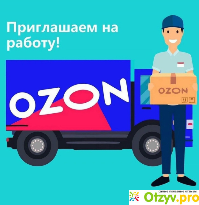 Озон: хочу работать