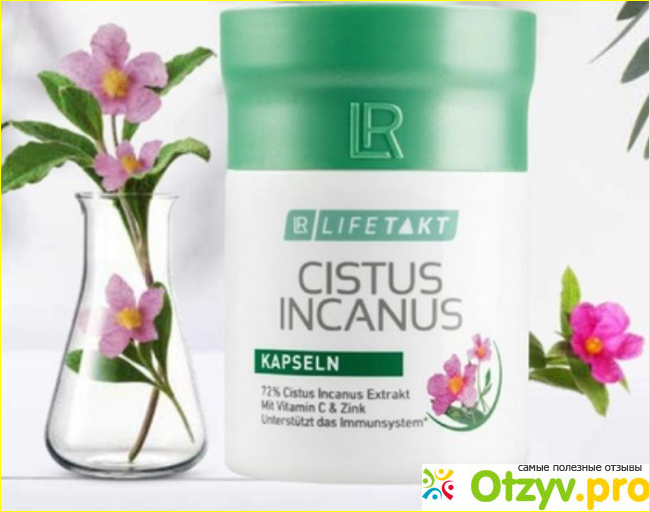 Отзыв о CISTUS INCANUS Капсулы