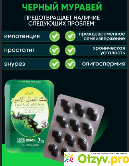 Черный муравей таблетки купить