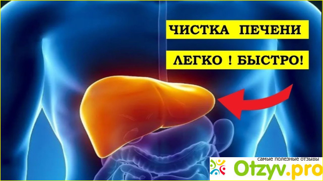 Капсулы для похудения отзывы цена