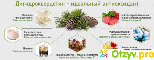 Как правильно выбирать препарат с «Дигидрокверцетином»