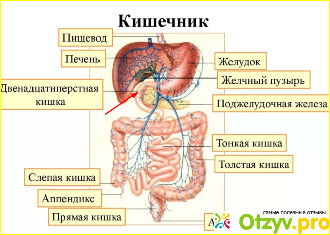 Отзыв о Ребамипид-сз таблетки, покрытые пленочной оболочкой отзывы