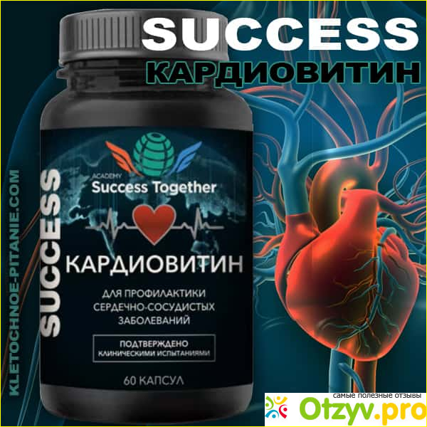 Success together отзывы фото3