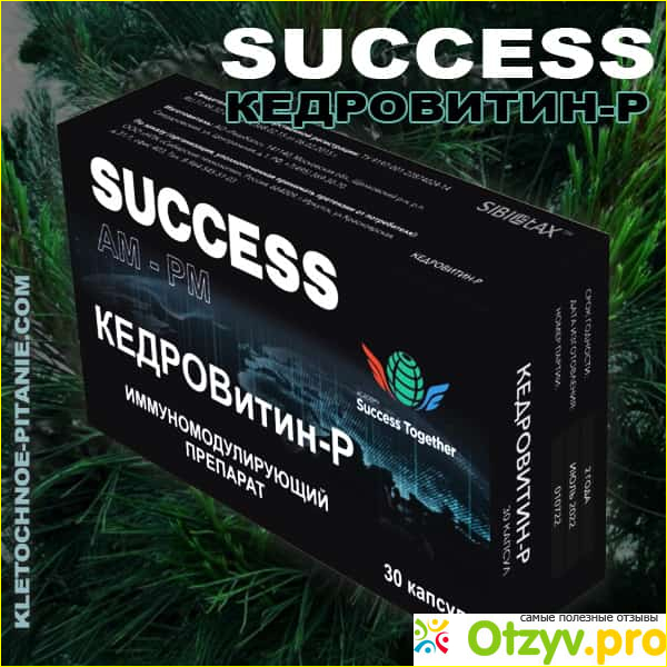 Success together отзывы фото4