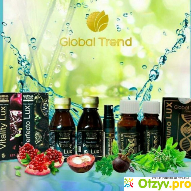 Global trend company официальный сайт фото4
