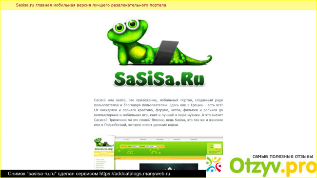 Sasisa.ru фото4