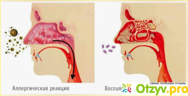 Показания к применению