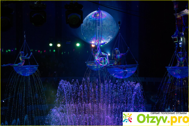 Цирк на воде шевченко оренбург отзывы фото6