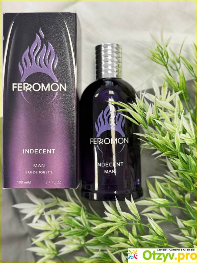 Мужская туалетная вода Ferromon Indecent фото1