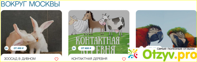 КудаКид фото1