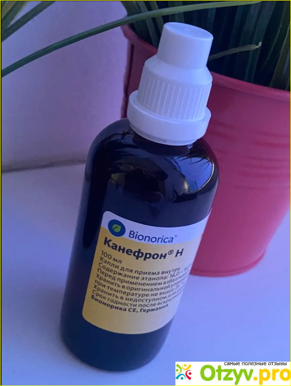 Отзыв о Канефрон раствор для применения внутрь