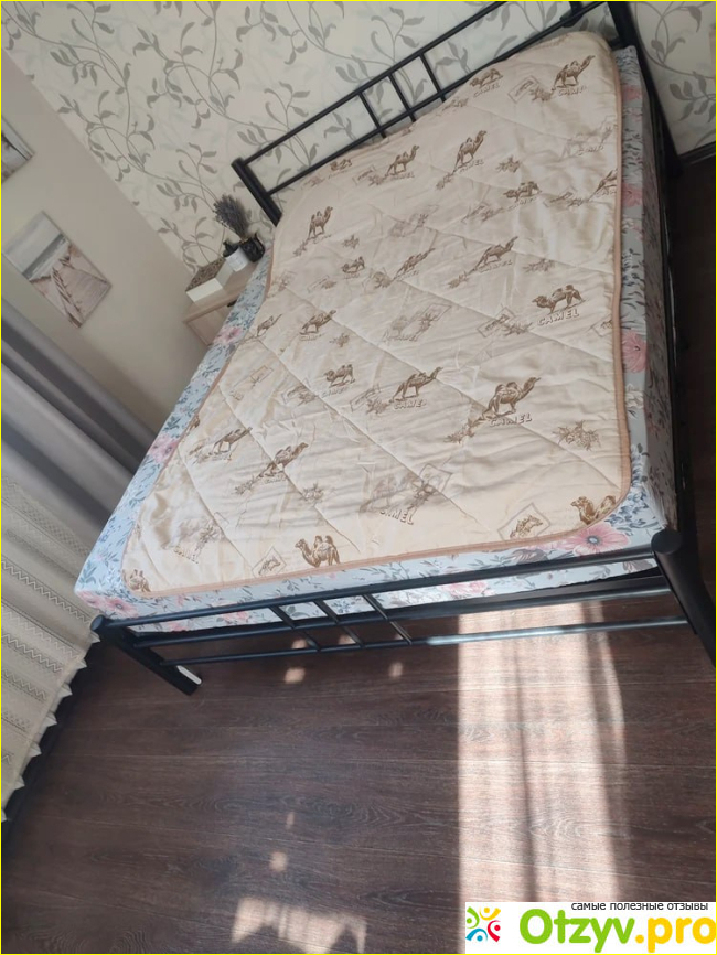 Отзыв о ООО «НеСаДен»