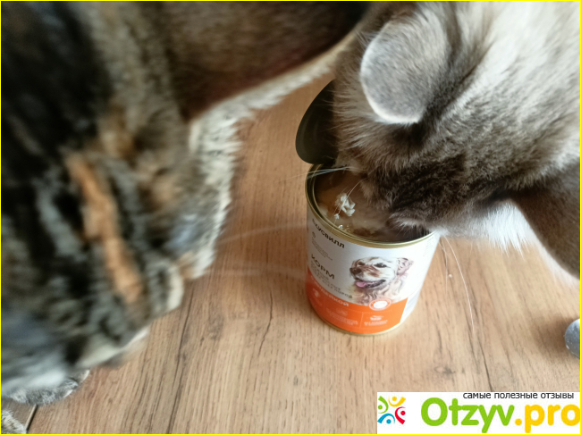 Корм влажный для взрослых собак всех пород Вкус Вилл фото4