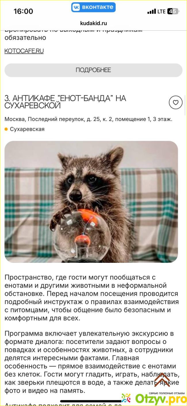 Отзыв о КудаКид