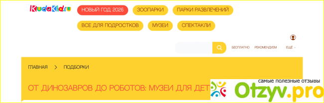 Отзыв о КудаКид