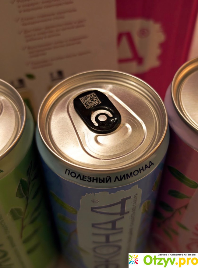 ЭКОНАД "Ассорти вкусов" (Натуральный лимонад без сахара) фото3