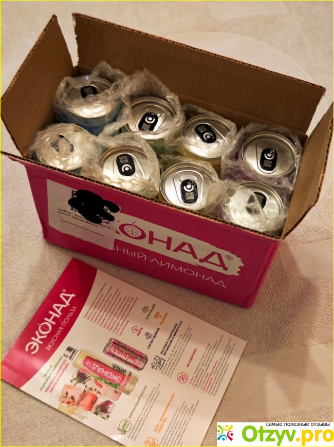 ЭКОНАД "Ассорти вкусов" (Натуральный лимонад без сахара) фото1