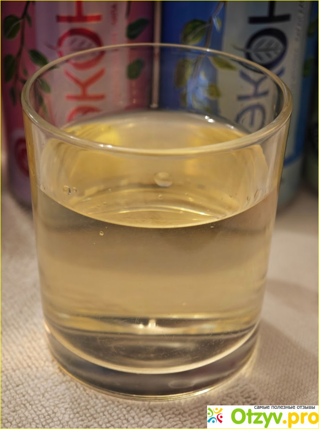 ЭКОНАД "Ассорти вкусов" (Натуральный лимонад без сахара) фото5