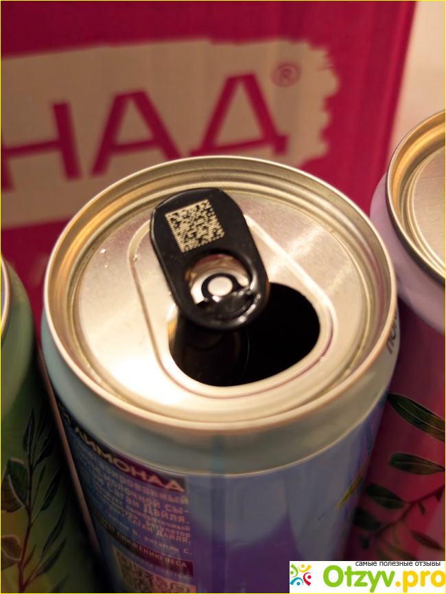 ЭКОНАД "Ассорти вкусов" (Натуральный лимонад без сахара) фото4