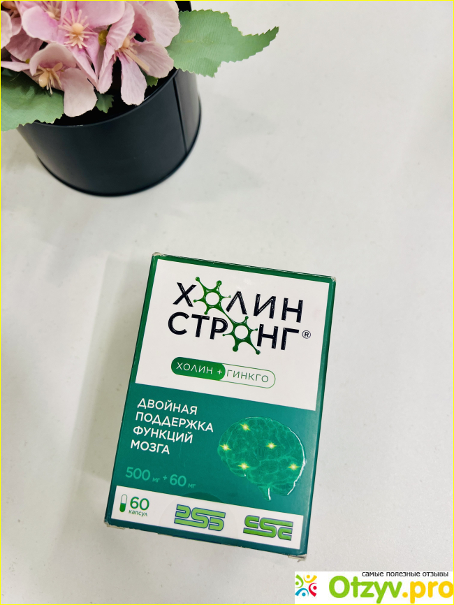 Отзыв о Холин Стронг