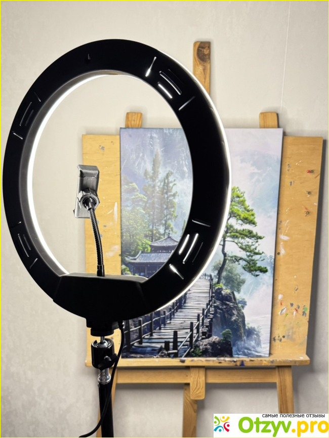 Кольцевая лампа WLR-3350R фото1