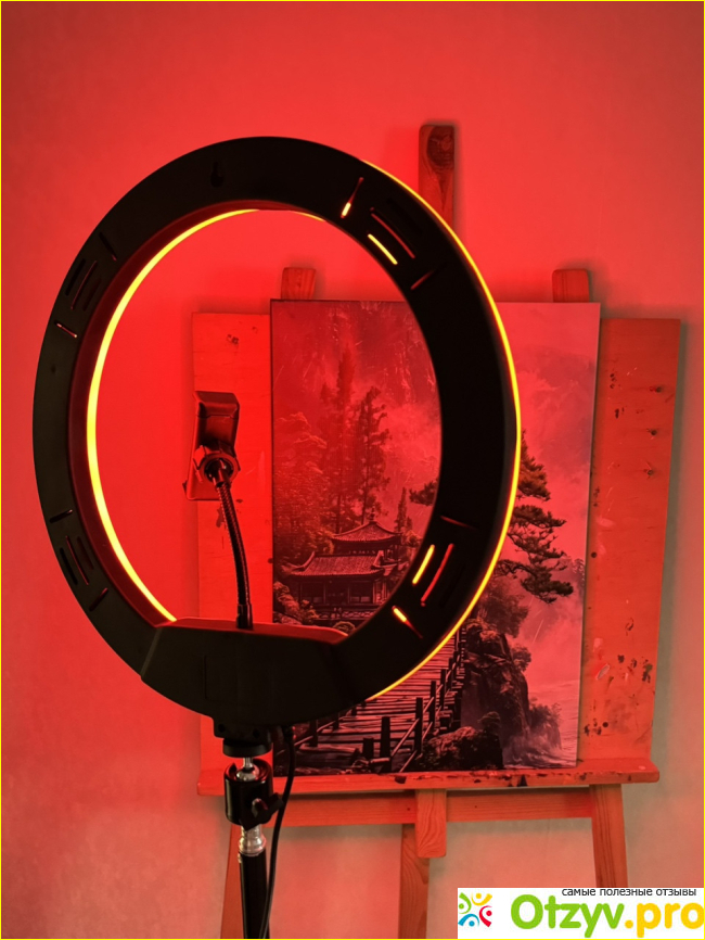 Кольцевая лампа WLR-3350R фото4