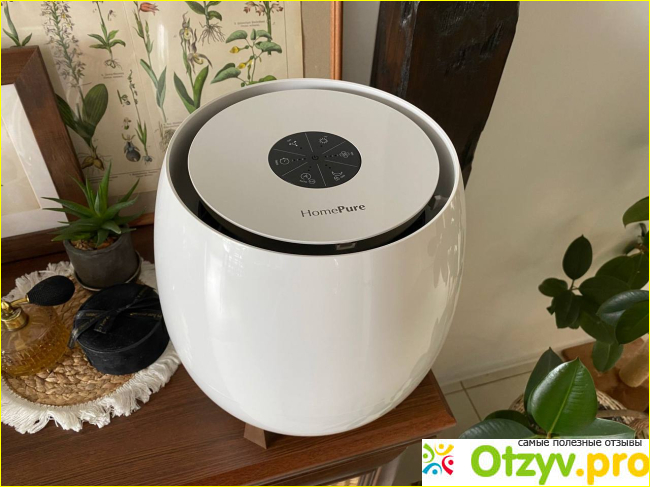 Отзыв о HomePure Zayn