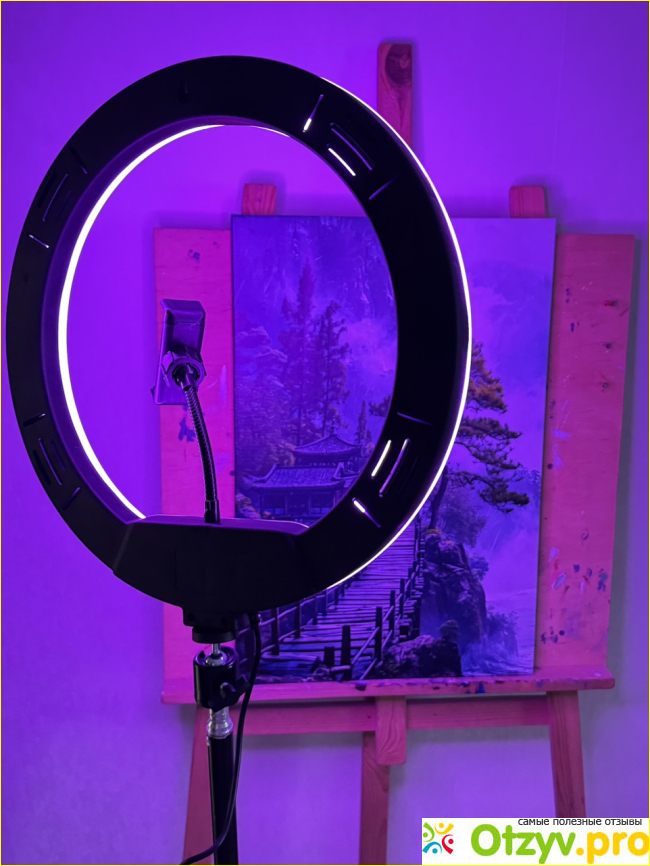 Кольцевая лампа WLR-3350R фото2