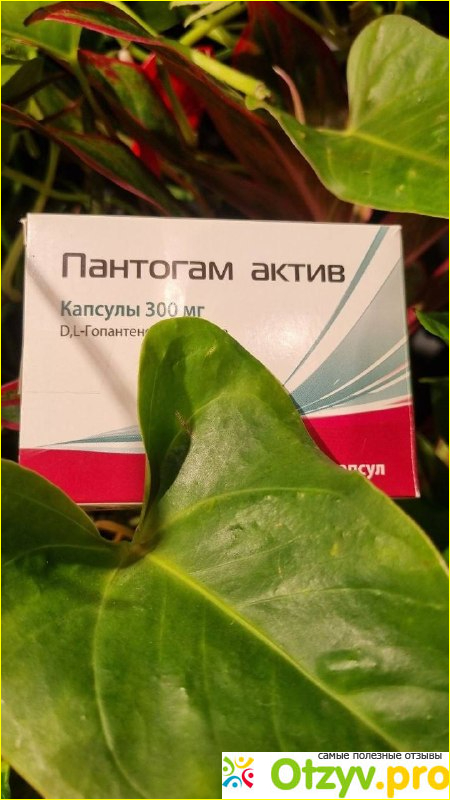 Отзыв о Пантогам Актив