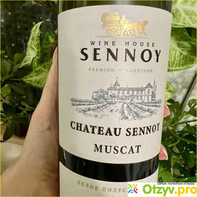 Отзыв о Вино CHATEAU SENNOY Мускат