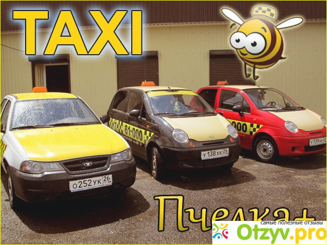 Такси одинцово телефон. Такси Пчелка машины. Номер такси Пчелка. Такси Пчелка Ставрополь. Пчелка такси Клин.