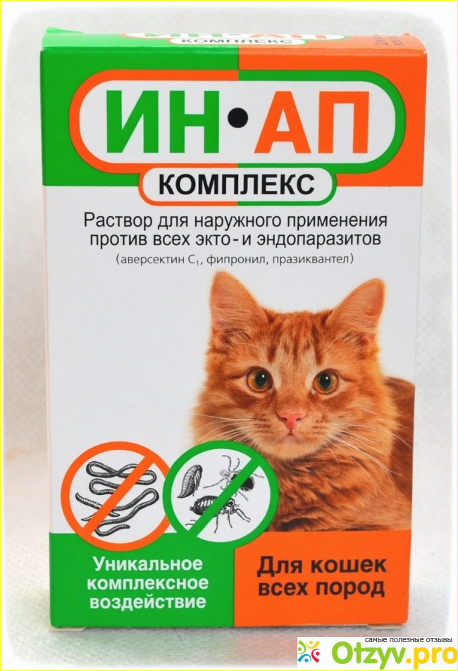 Ин ап сайт. Препарат против власоедов у кошек. Ин ап капли для кошек. Капли от власоедов для кошек. Таблетки от власоедов для кошек.
