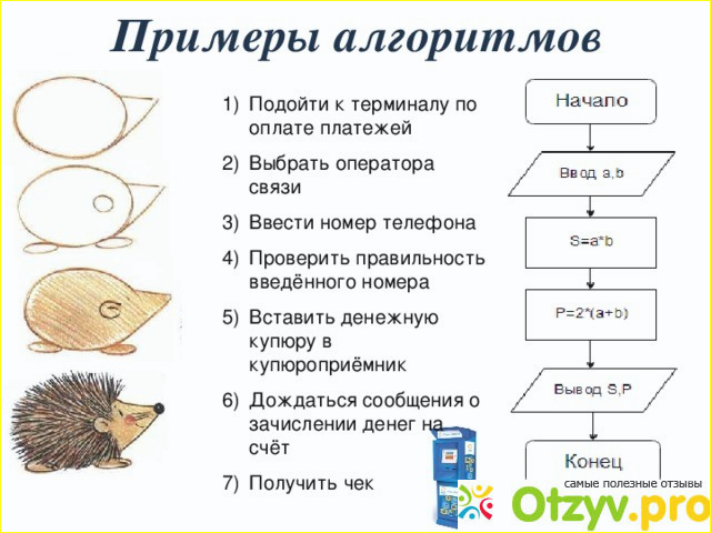 Алгоритм отзывы. Примеры алгоритмов. Примеры алгоритмов из жизни. Алгоритм из жизни. Приведите пример алгоритма.