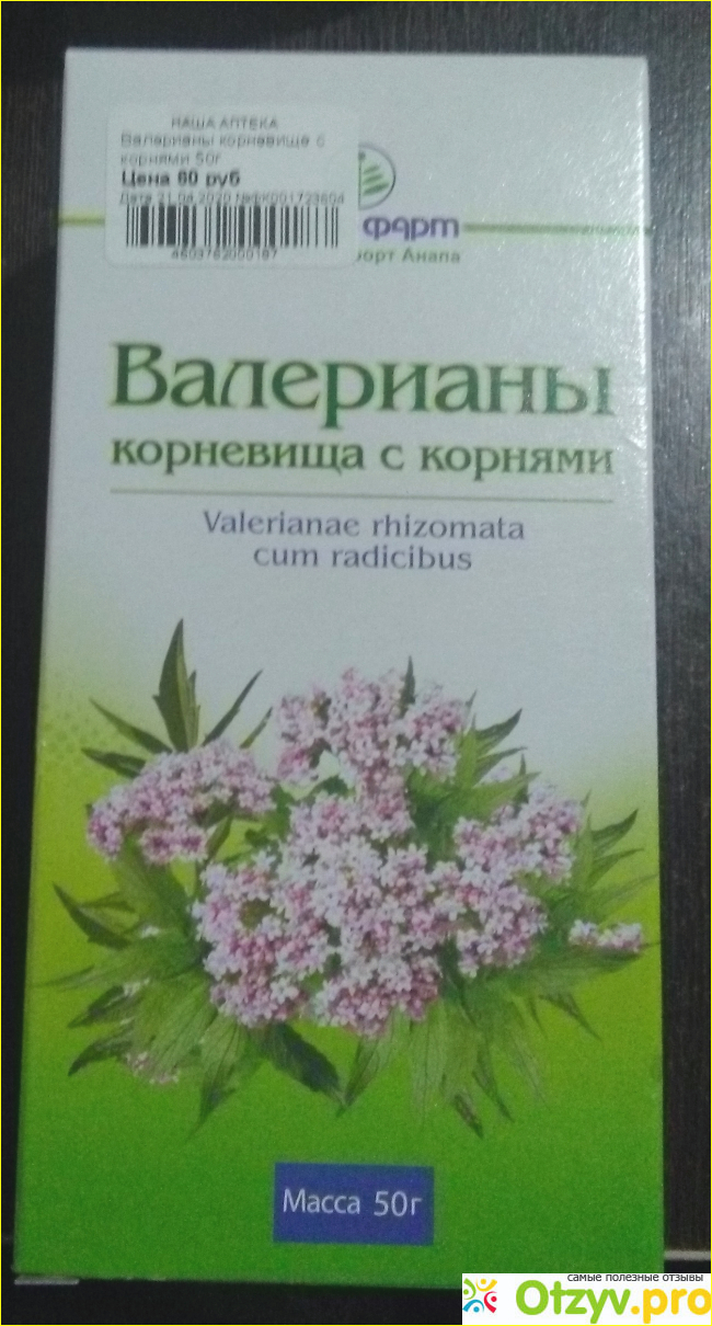 Корень валерианы на латинском в рецепте. Корневища валерианы Фитофарм. Корневища с корнями валерианы. Корневища с корнями валерианы рисунок. Лекарственные средства корневища с корнями валерианы.