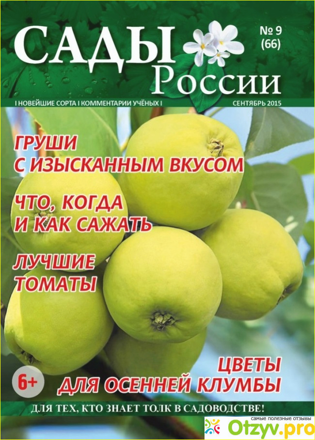 Сады челябинска каталог. Сады России Челябинск. Сады России журнал. Сады России Челябинск саженцы. НПО сады России интернет магазин.