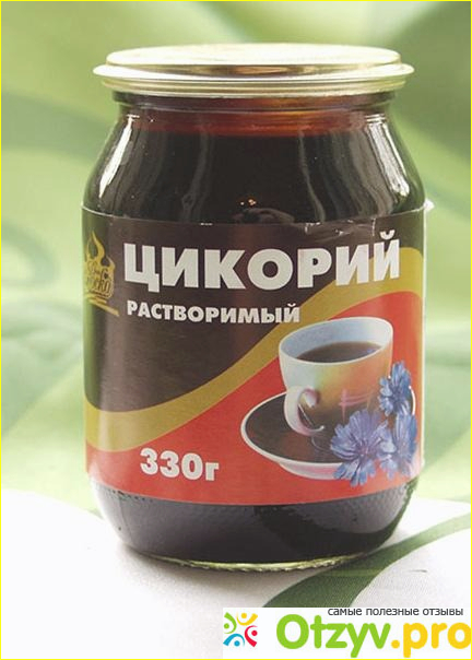 Cichorium intybus. Цикорий описание растения. Цикорий его свойства. Чем полезен цикорий и как его готовят. Цикорий его свойства.