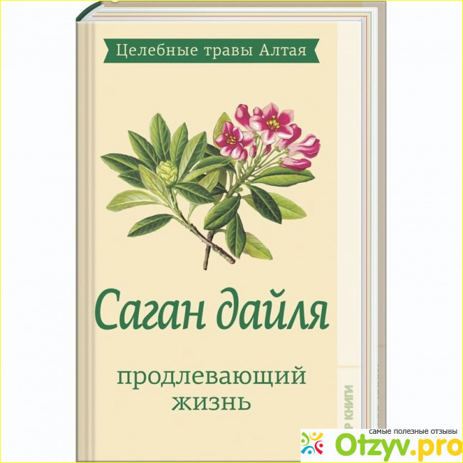 Продливающий. Саган дайля этикетка. Чай Саган дайля растение. Саган дайля продлевающий жизнь. Саган дайля рисунок.