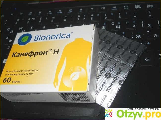 Дает ли канефрон. Канефрон уно. Канефрон мг. Канефрон Бионика. Канефрон 30 таблеток.