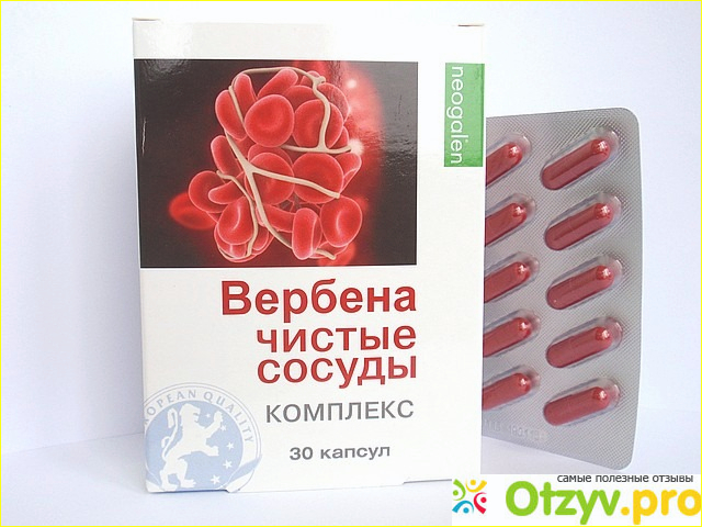 Вербена чистые сосуды Неогален капс. 500мг №30. Вербена чистые сосуды Эвалар. Вербена чистые сосуды капсулы. Вербена чистые сосуды фото.