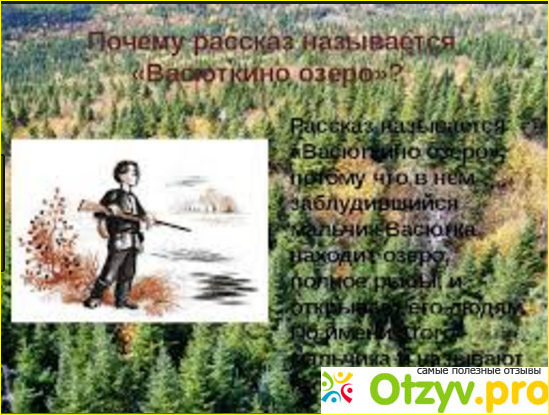 Почему рассказ называется васюткино озеро ответы. Васюткино озеро фото книги. Васюткино озеро в реальной жизни. Васюткино озеро фото. Фото к рассказу Васюткино озеро.