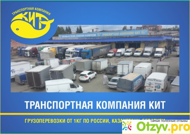 Кит транспортная мурманск. ТК кит. Терминал ТК кит. ТК кит Мурманск.